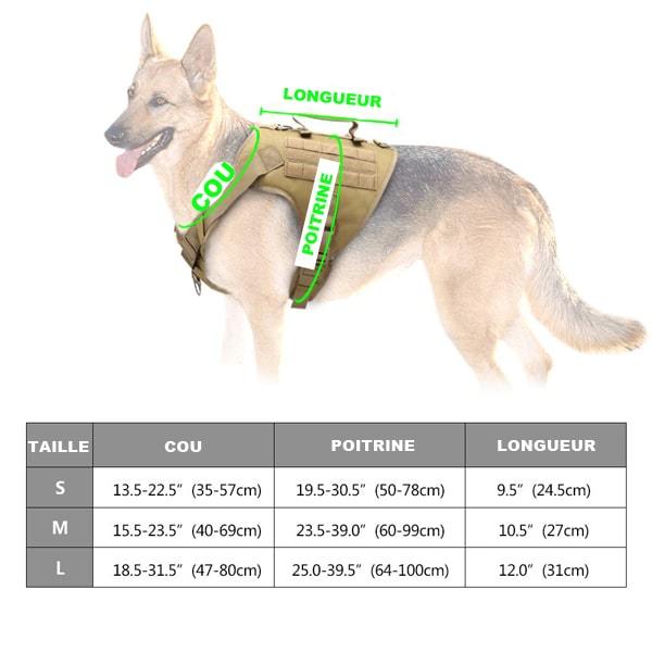 Tableau des tailles du harnais militaire pour chien