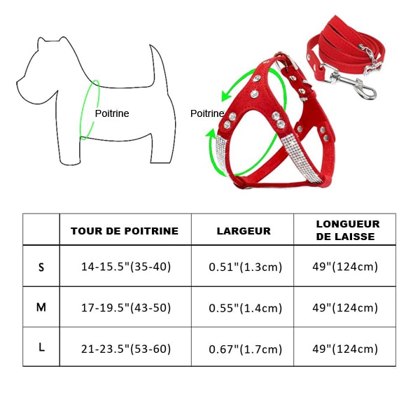 taille du harnais en cuir suédé avec brillant et laisse assortie pour petit chien et chihuahua