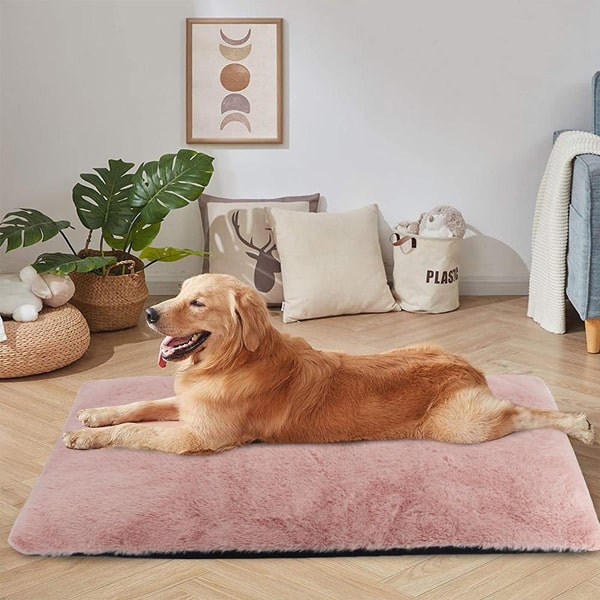 image d'un gros chien allongé sur le tapis épais et déhoussable