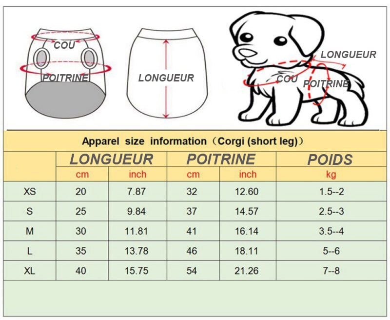 tailles du pull chaud pour petit chien