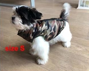 veste imperméable sur un chiot