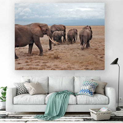 Herd of Elephants