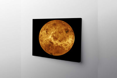 The Venus Globe