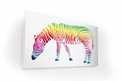 Colored Zebra