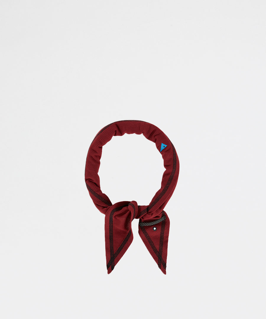 Allvis Scarf Ruby Red