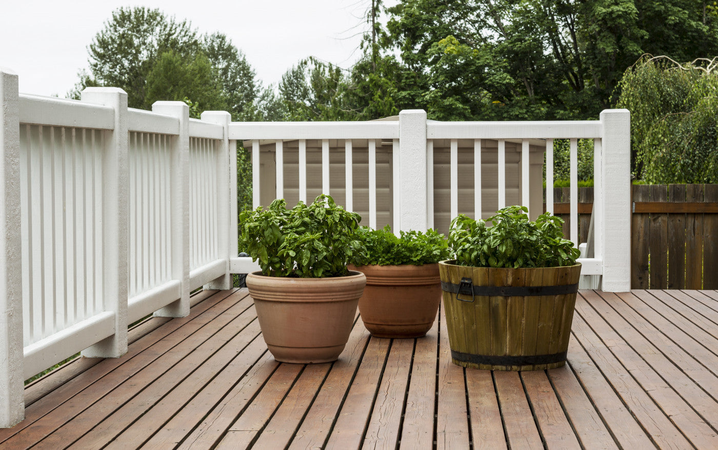 Tips for Choosing The Right Deck Stain Color For Your Deck