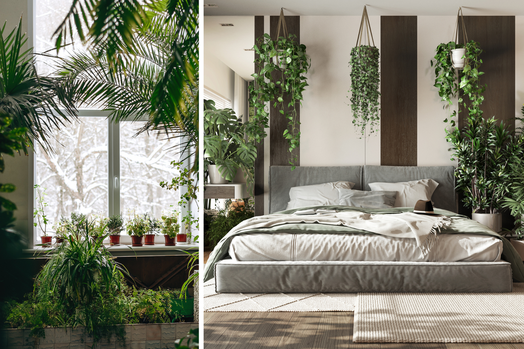 Biophilic home design trends 2024.