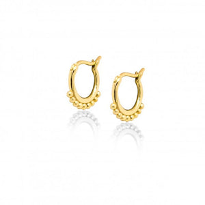 Shop Hoop Earrings | Joydrop