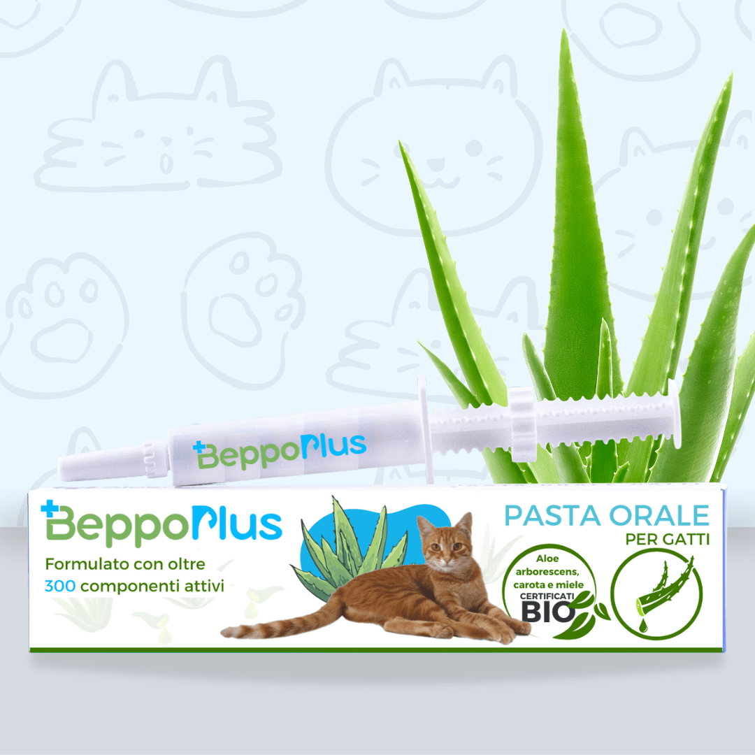 BeppoPlus -  Pasta Orale per Gatti