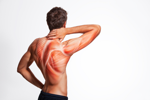 Does CBD Cream Help Sore Muscles