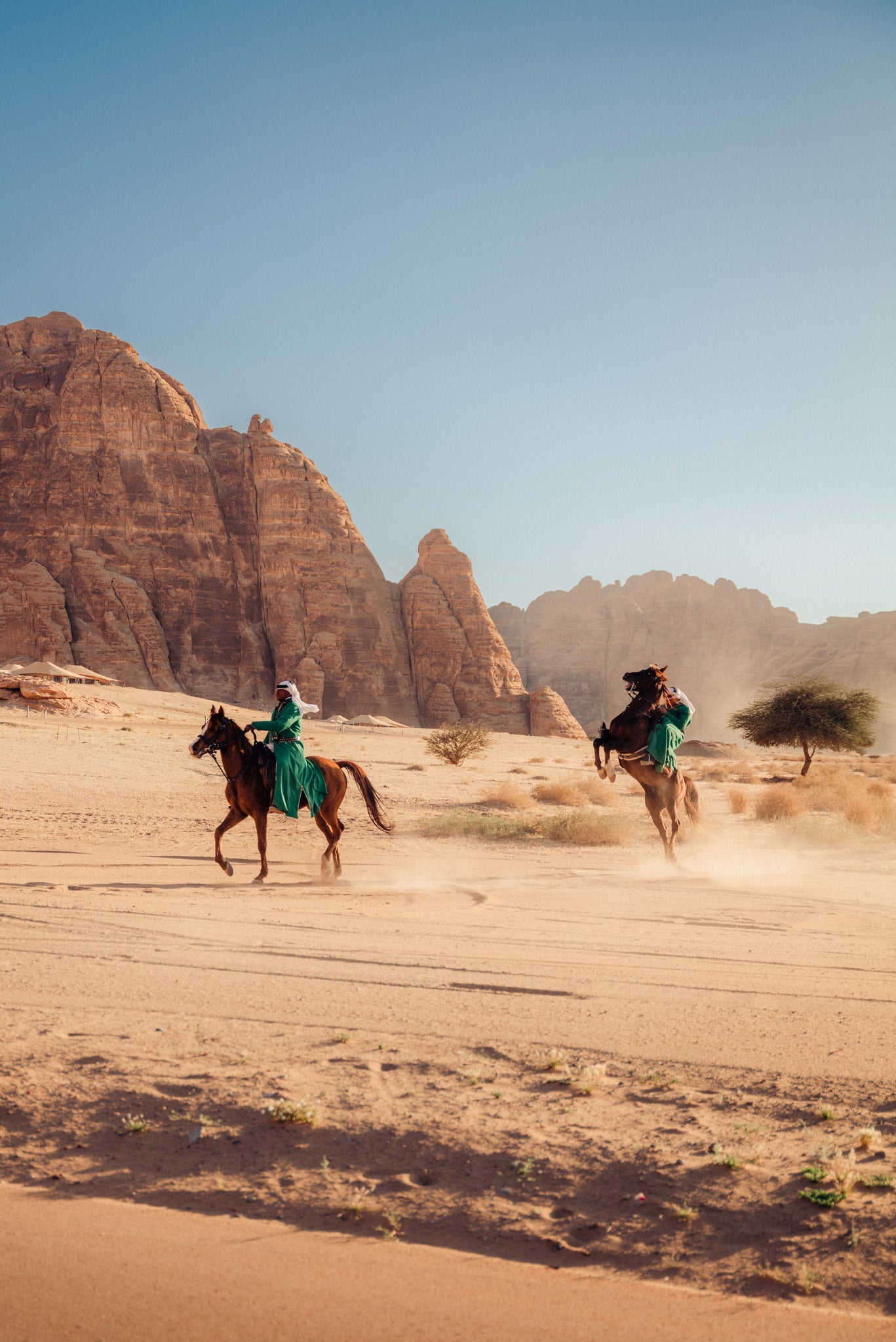 Saudi Arabia - Horse - Shot on SL2