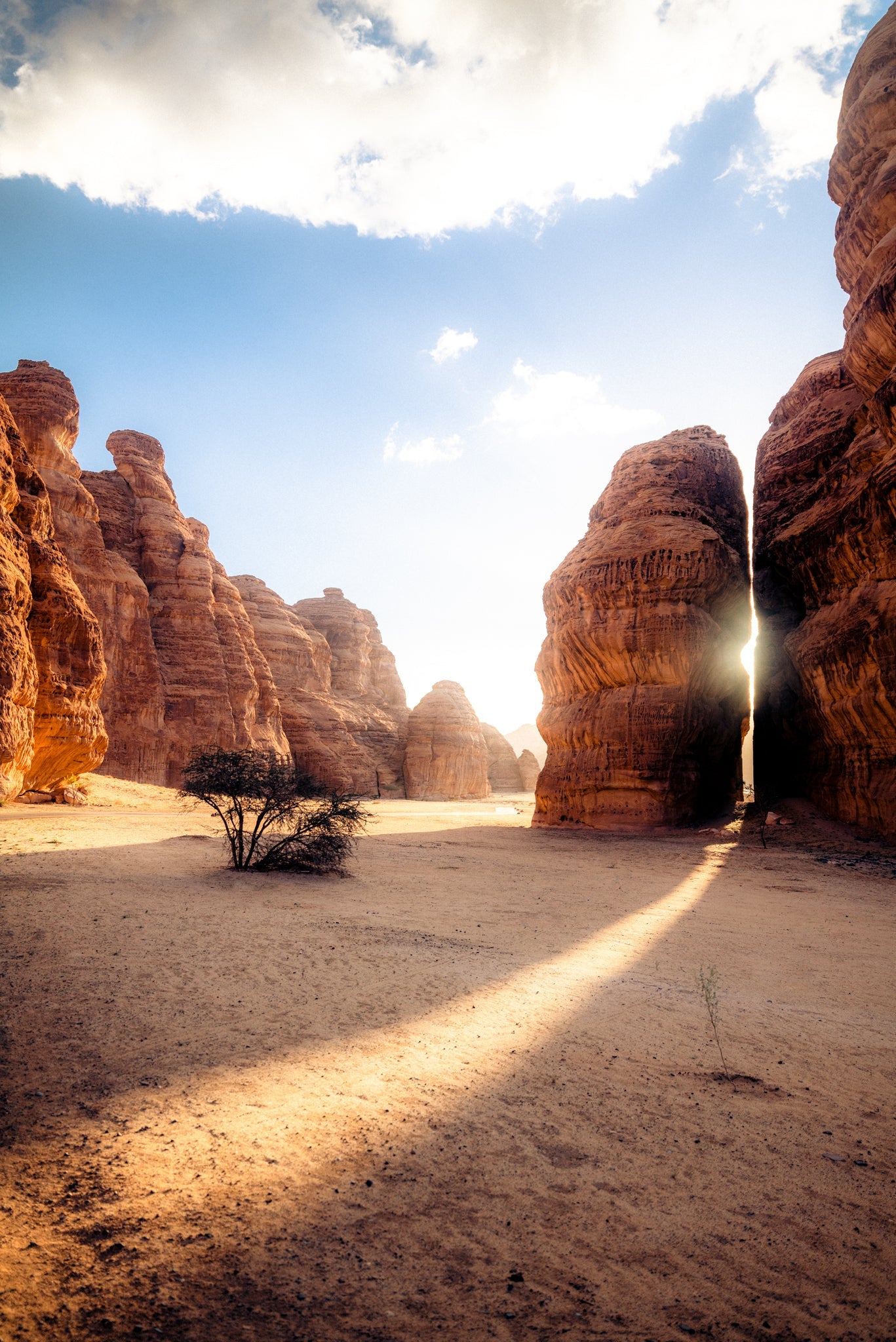 Saudi Arabia - Sunlight - Shot on SL2