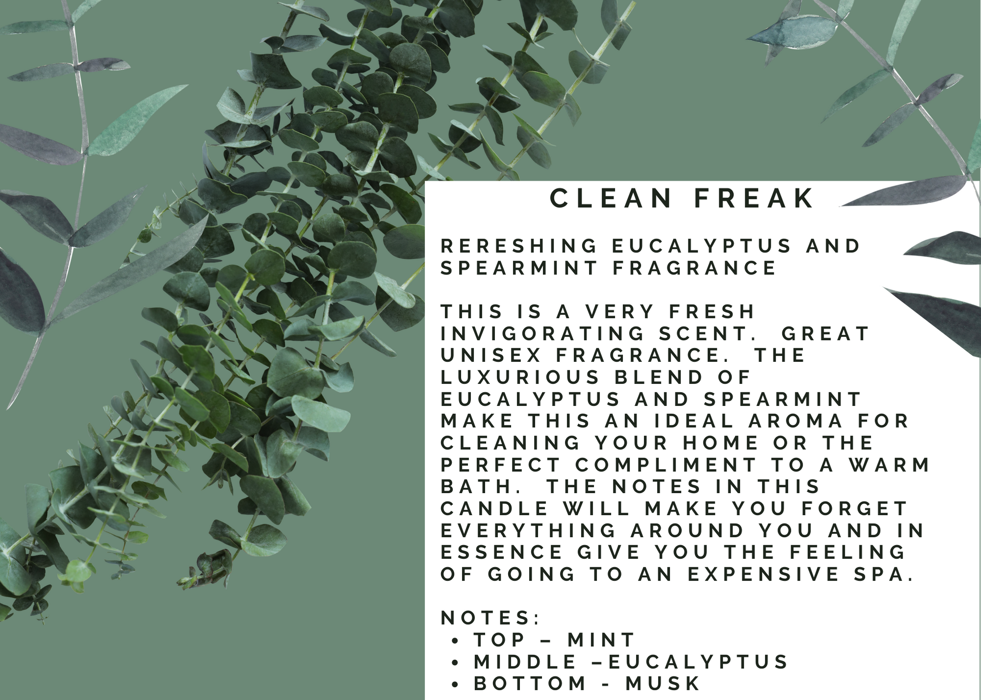 Litcandlestick Fragrance - Clean Freak - Eucalyptus and Spearmint Scent