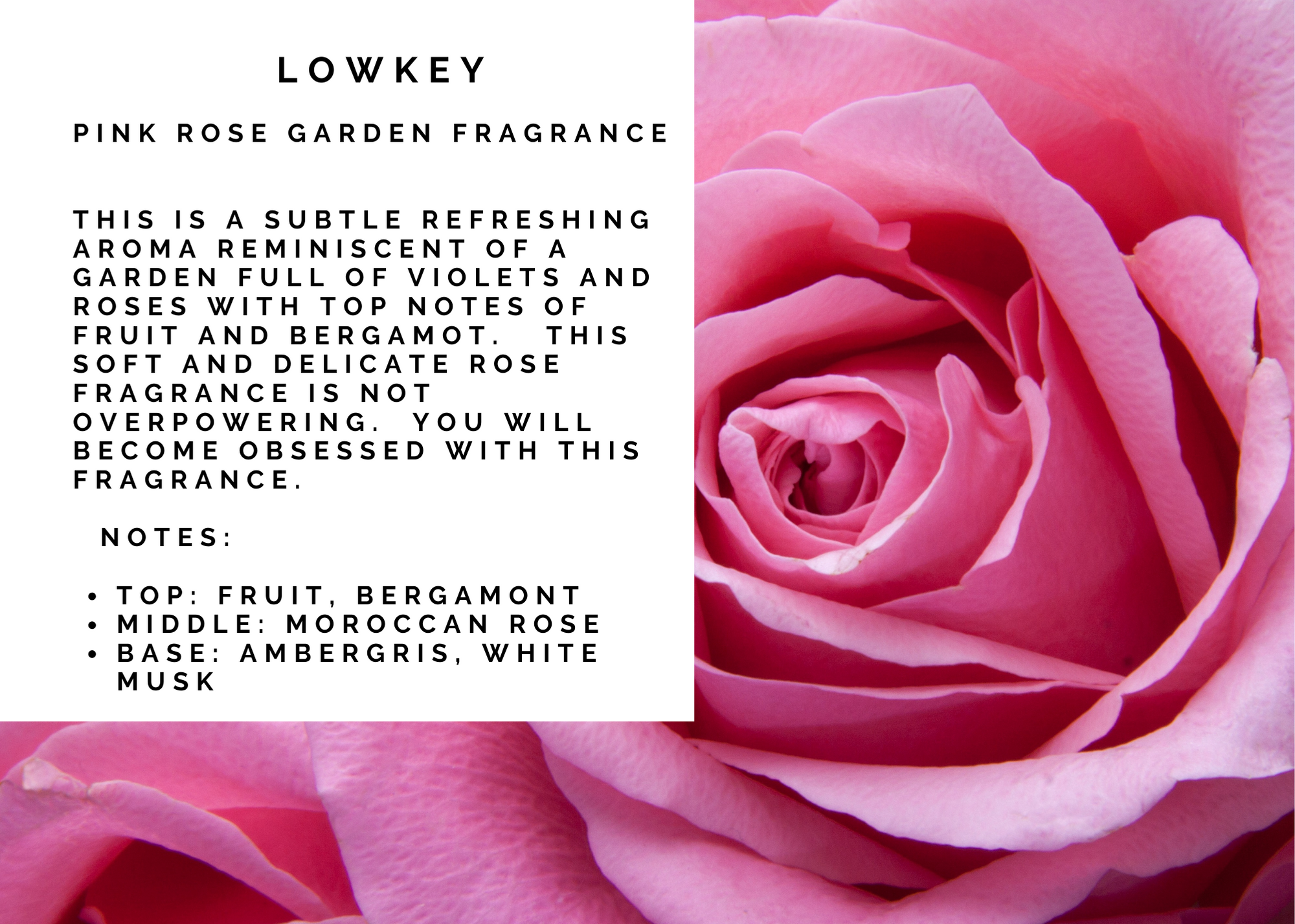 Lit Candlestick Fragrance- Lowkey - Pink Rose Garden Scent