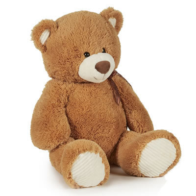 teddy bear medium size