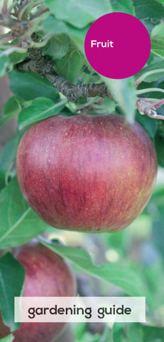Growing Fruit Care Guide
