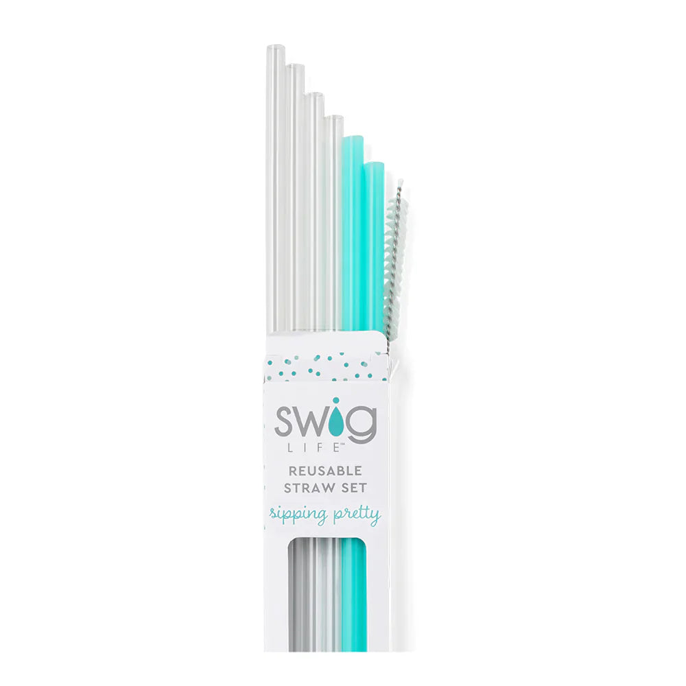 Clear & Aqua Reusable Straw Set (Tall)