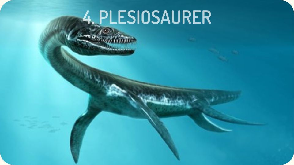 Plesiosaurer