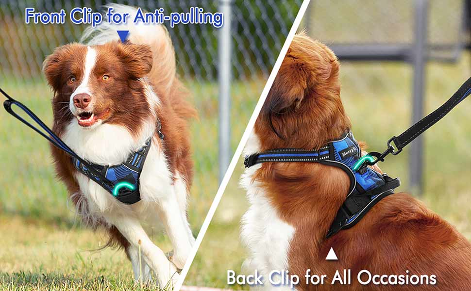 Dog Harness with 2 Leash Clips