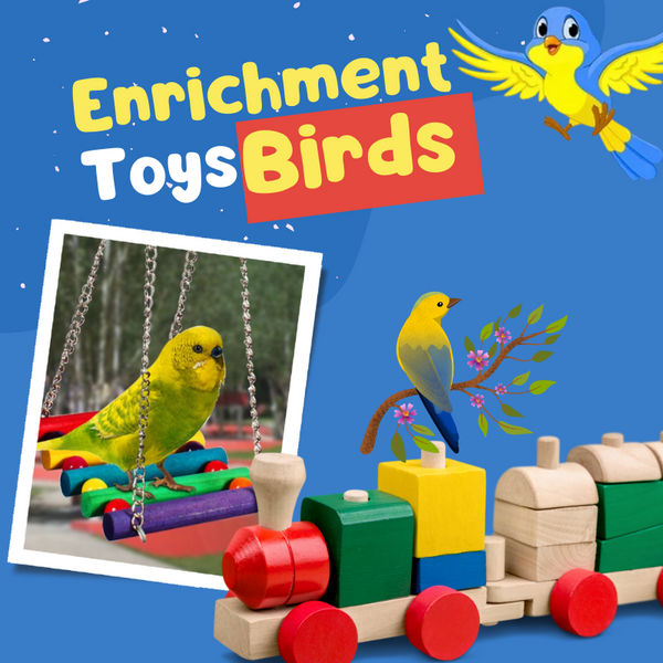 Toys for Birds