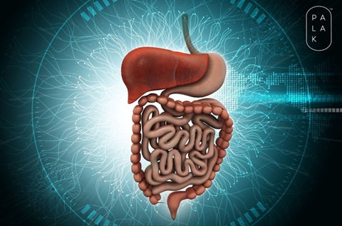 Your Gut Health with Betaine HCL and Pepsin