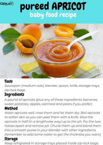 pureed apricot baby food recipe