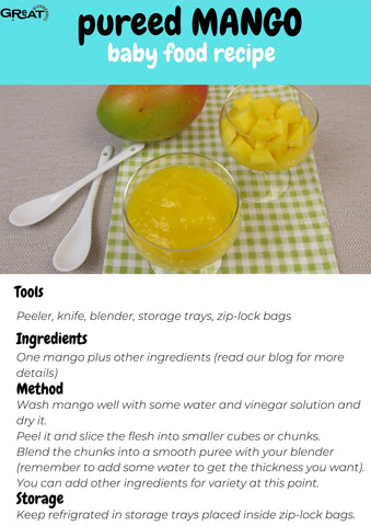 pureed mango baby food recipe