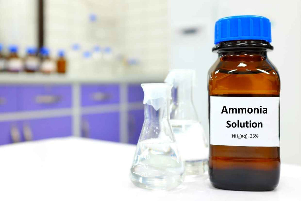 Use of ammonia to clean gold ornaments.