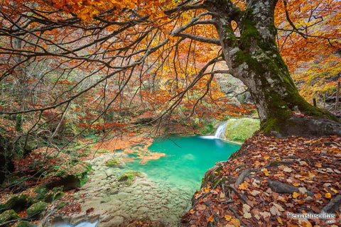 The source of the river Urederra