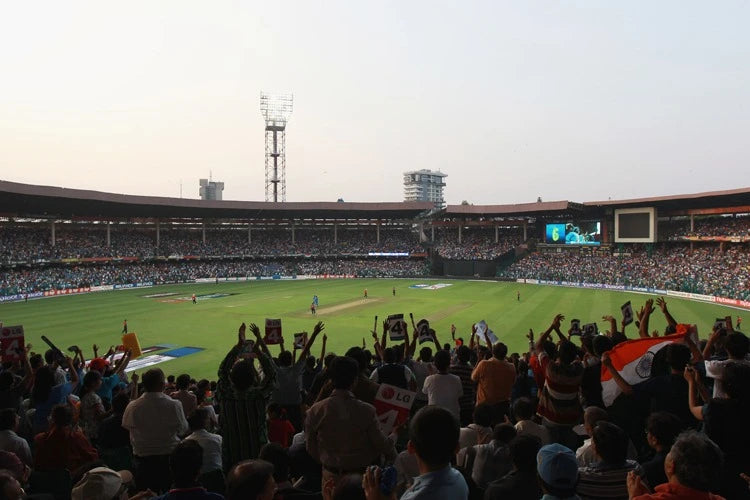 Fans celebrate in the stands at the Chinnaswamy Cricket Ground
