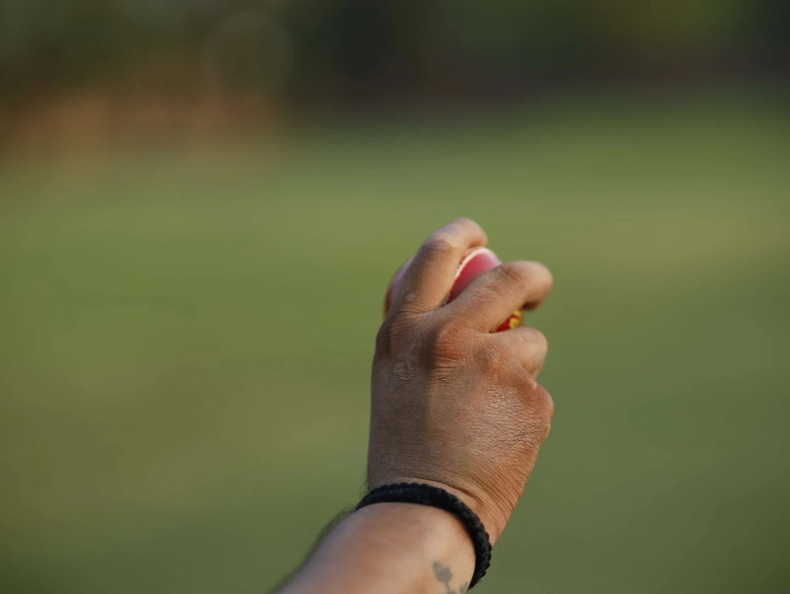 The Reverse Swing bowling Grip
