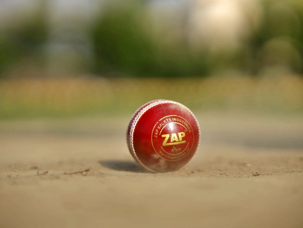 A new ZAP Leather Cricket Ball