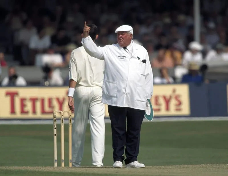 Umpire David Shepherd signals out