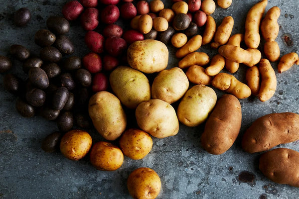 Choisir la variété de pomme de terre pour les meilleures frites