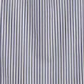 Blue Stripe