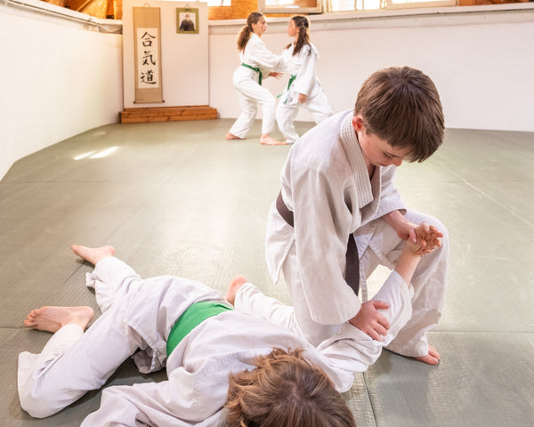 Marketing Images For School Aikido