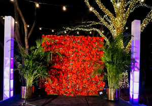 flower wall with lights