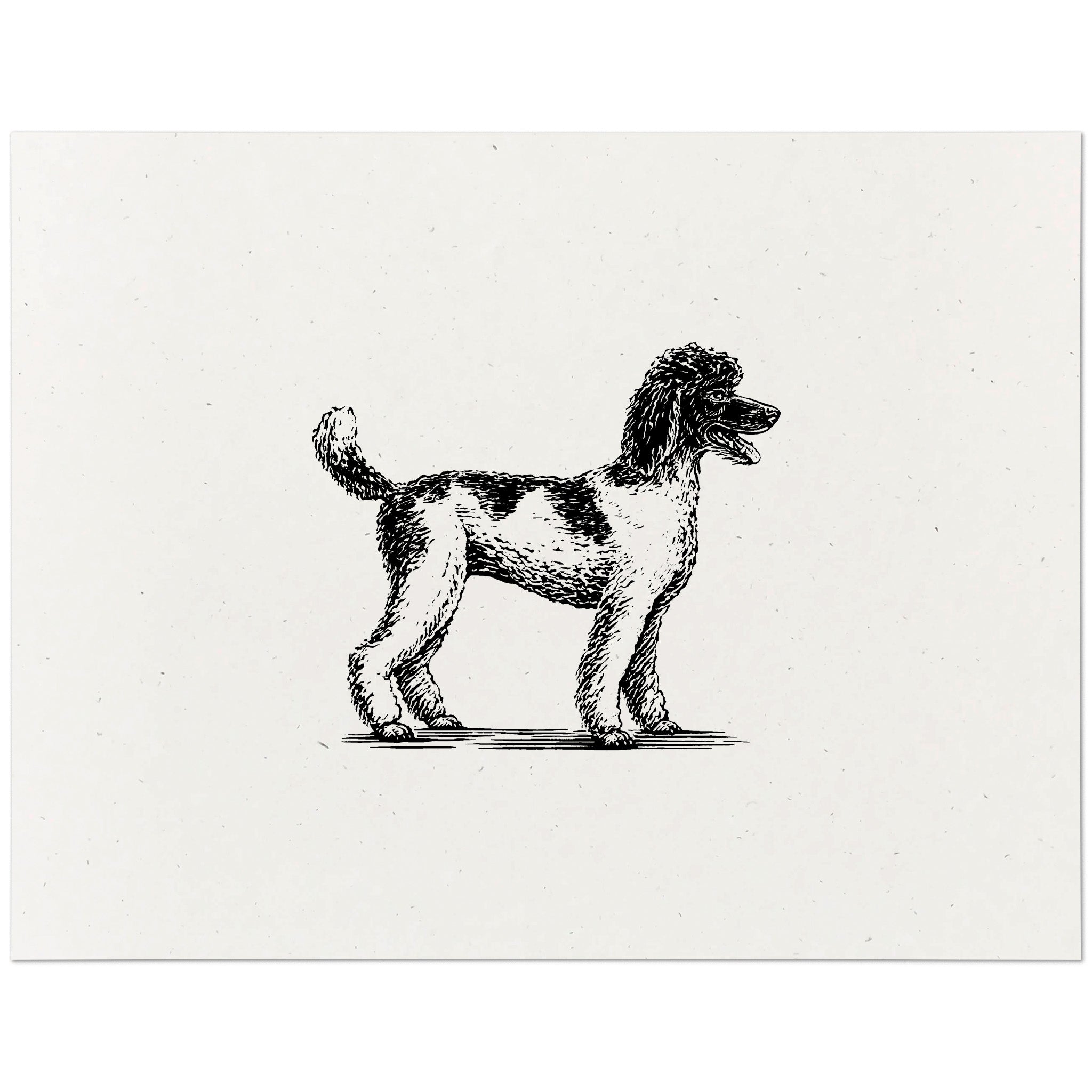 lette vindue Limited Poodle Print – Dog Gone Studios
