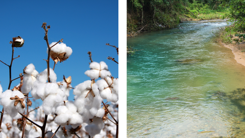 organic cotton buds and clear rivers