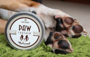 Boxer's paws moisturized with Natural Dog Company Paw Soother