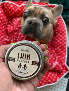 French Bulldog with tin of Natural Dog Company Skin Soother