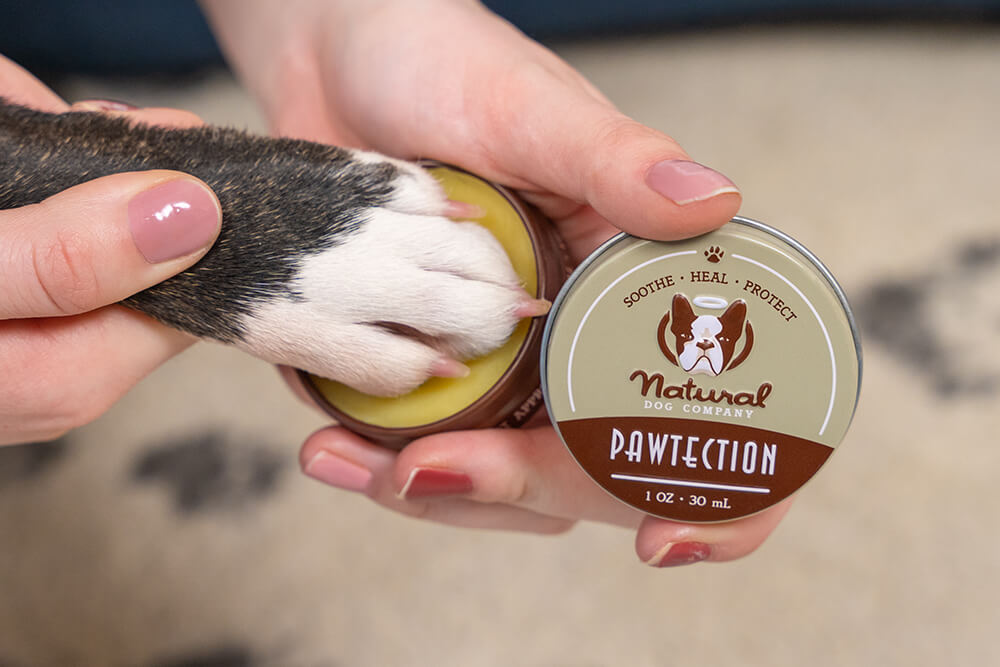 PawTection: Protect Your Dog's Paws From Snow, Ice and Heat – Natural Dog  Company