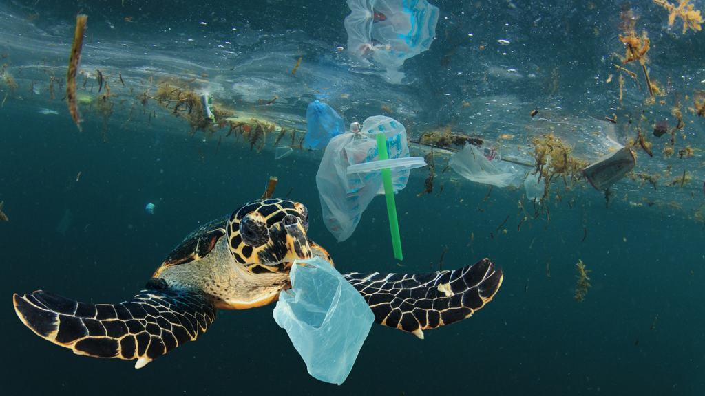 ridurre consumo plastica