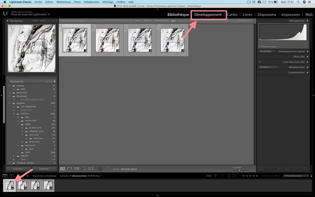 Import Preset into Lightroom: A Step-by-Step Guide