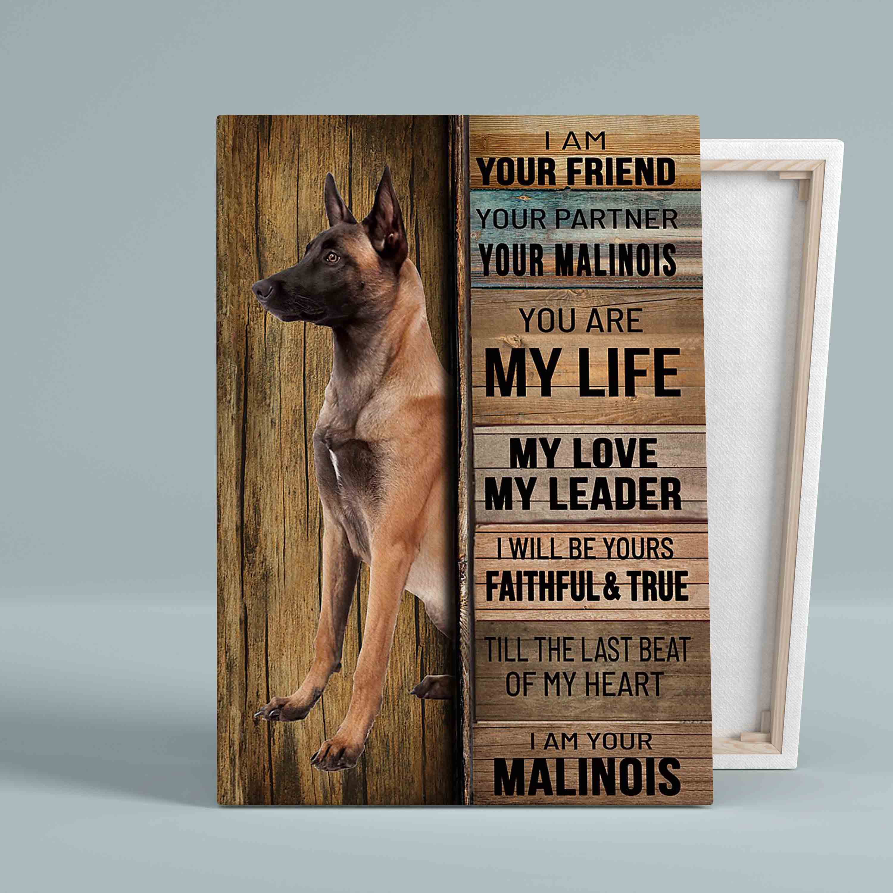 I Am Your Friend Canvas, Dog Canvas, Malinois Canvas, Pet Canvas, Gift Canvas