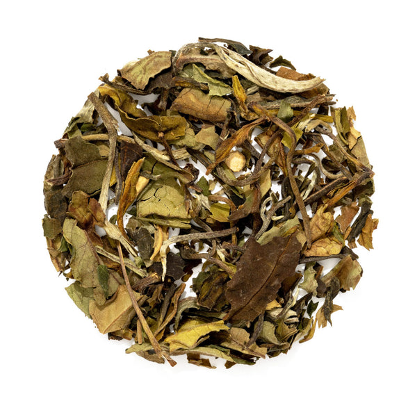 white tea leaf