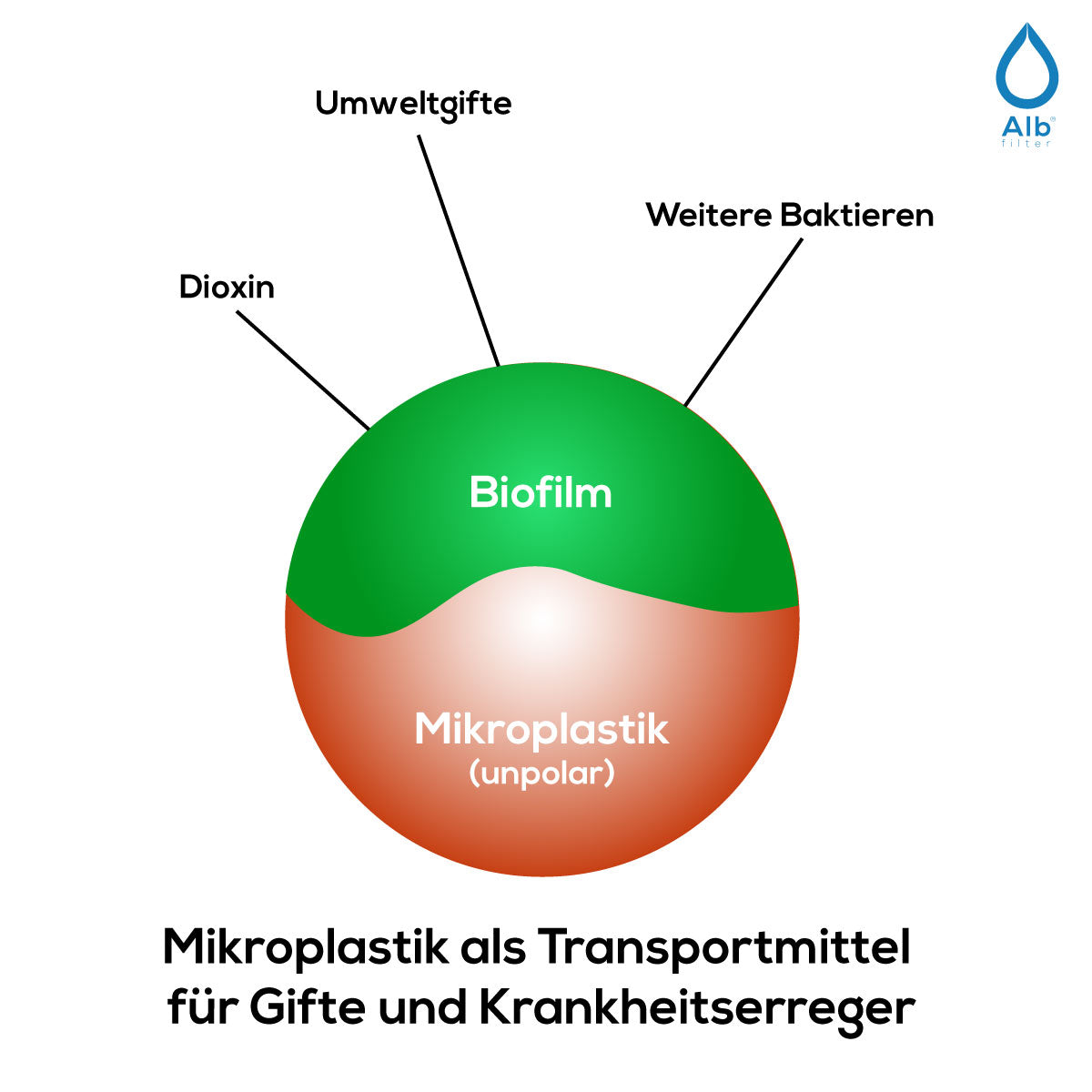 Mikroplastik als Transportmittel für Keime und Umweltgifte