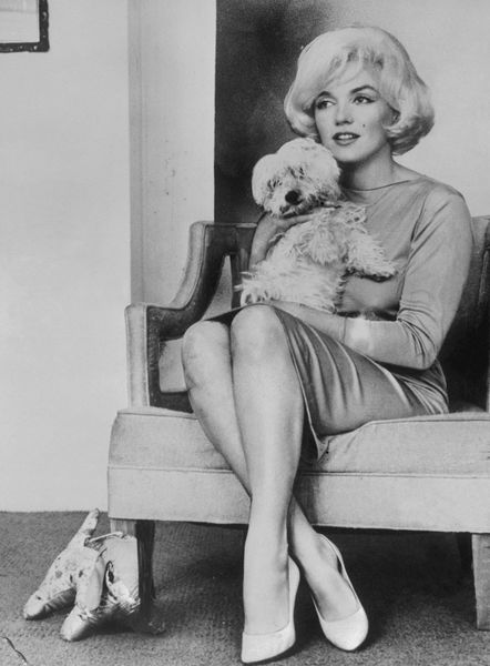 L'actrice Marilyn Monroe tenant un chien