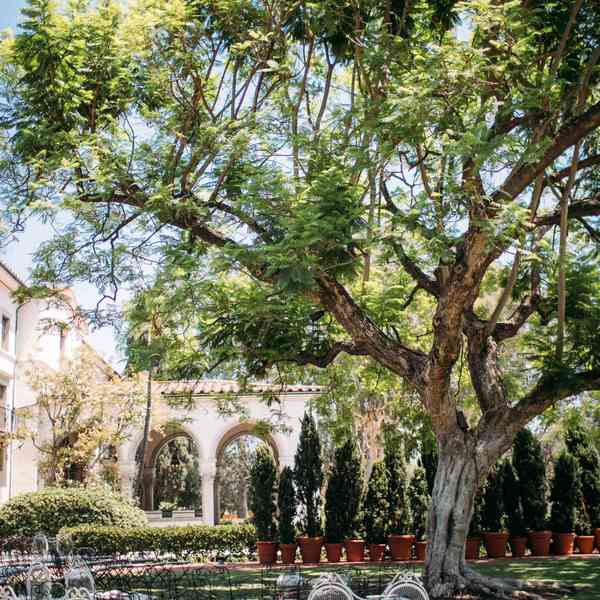 Cérémonie de mariage dans le jardin