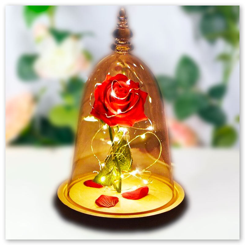 Rose Éternelle La Belle et la Bête | Fleurs Roses